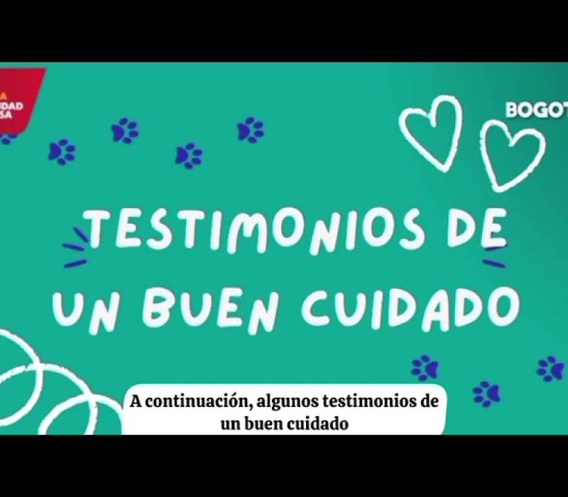 BIENESTAR ANIMAL Y TENENCIA RESPONSABLE
