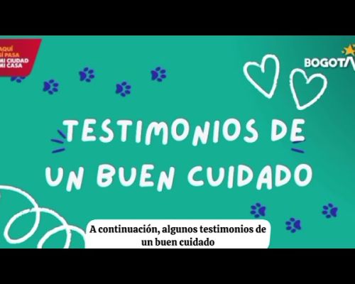 BIENESTAR ANIMAL Y TENENCIA RESPONSABLE