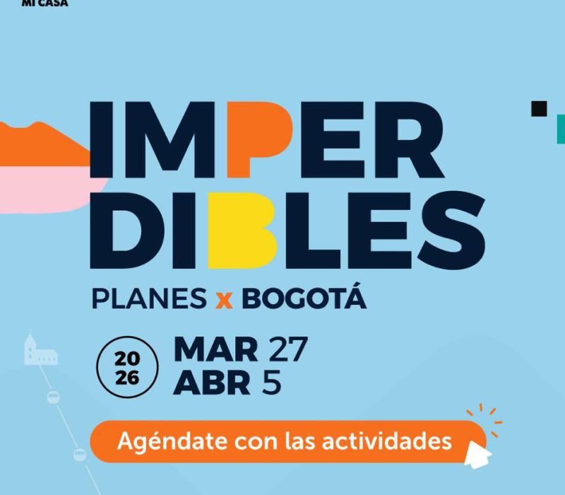 Festival Internacional de Artes Vivas: segunda edición